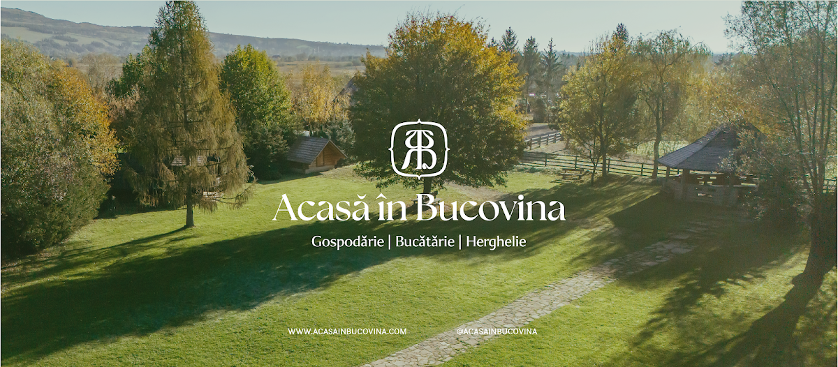 Acasă în Bucovina - foto 4
