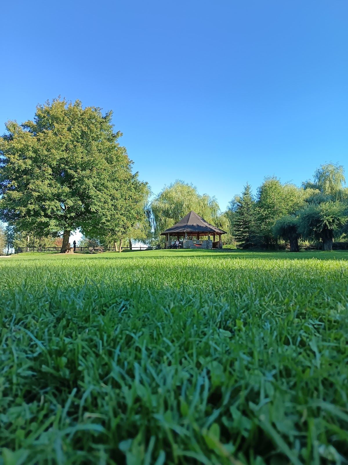 Acasă în Bucovina - foto 5