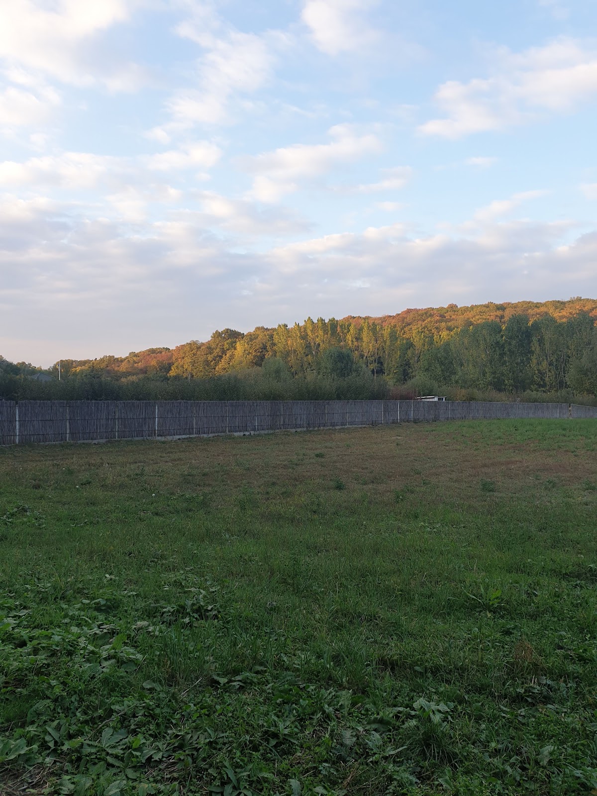 Acasa la Matei - foto 5