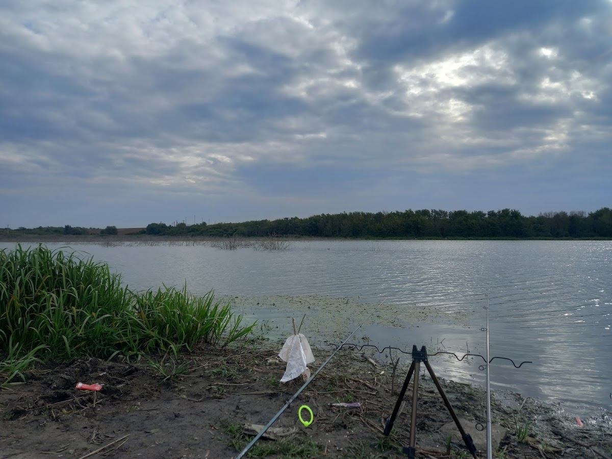 Réservoir de Sânandrei