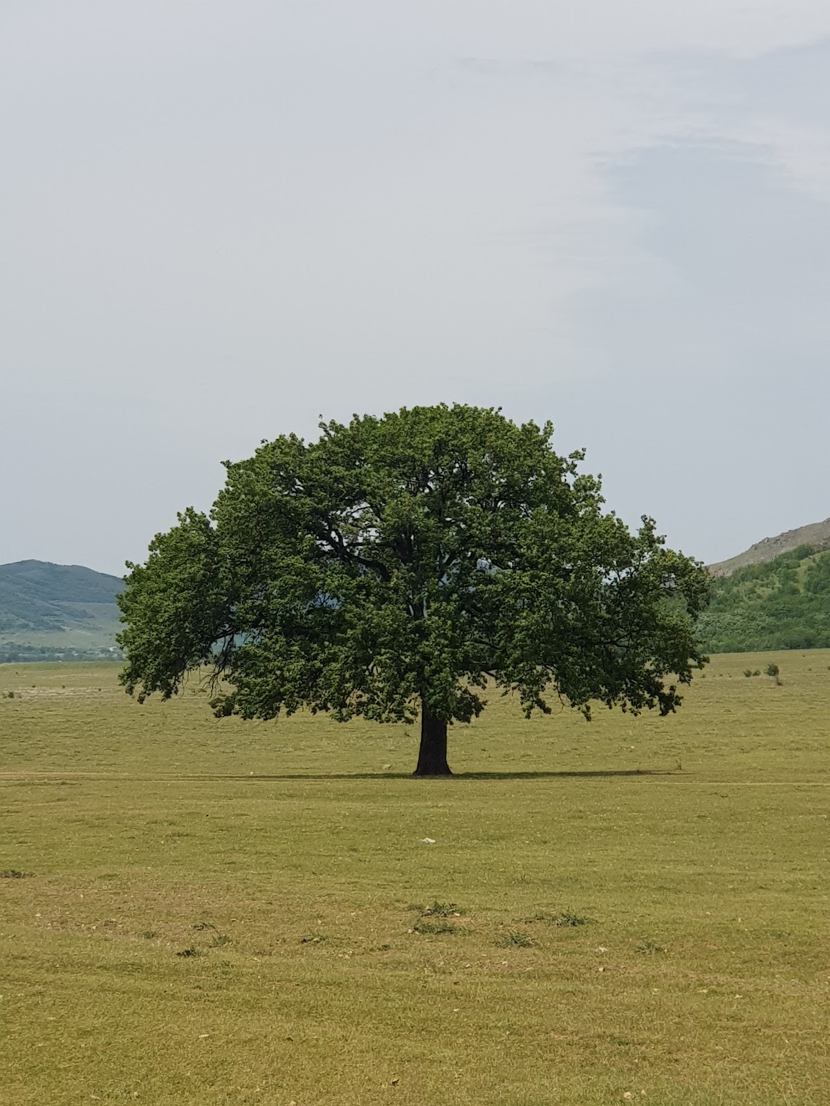 Administrația Parcului Național Munții Măcinului - foto 3