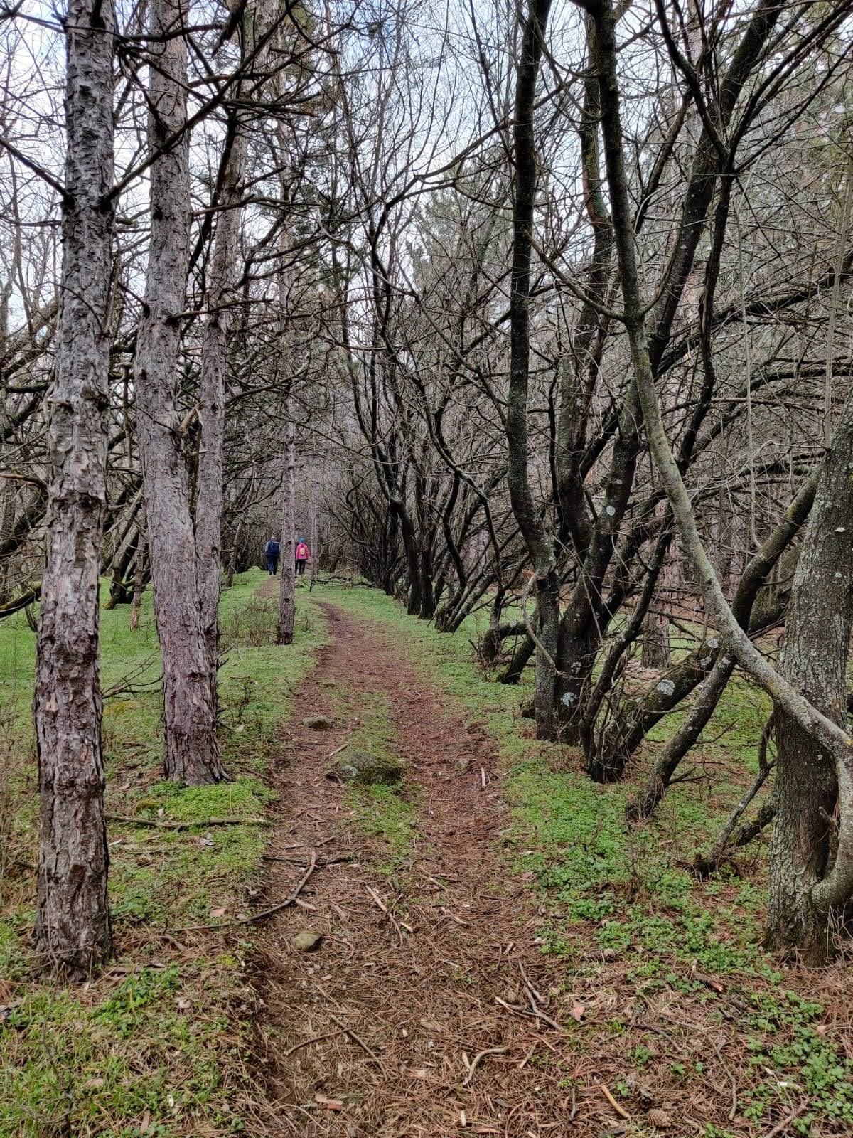 Administrația Parcului Național Munții Măcinului - foto 4