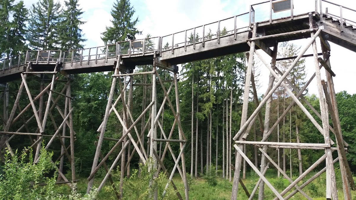 Vânători Neamț自然公园管理局 - foto 4