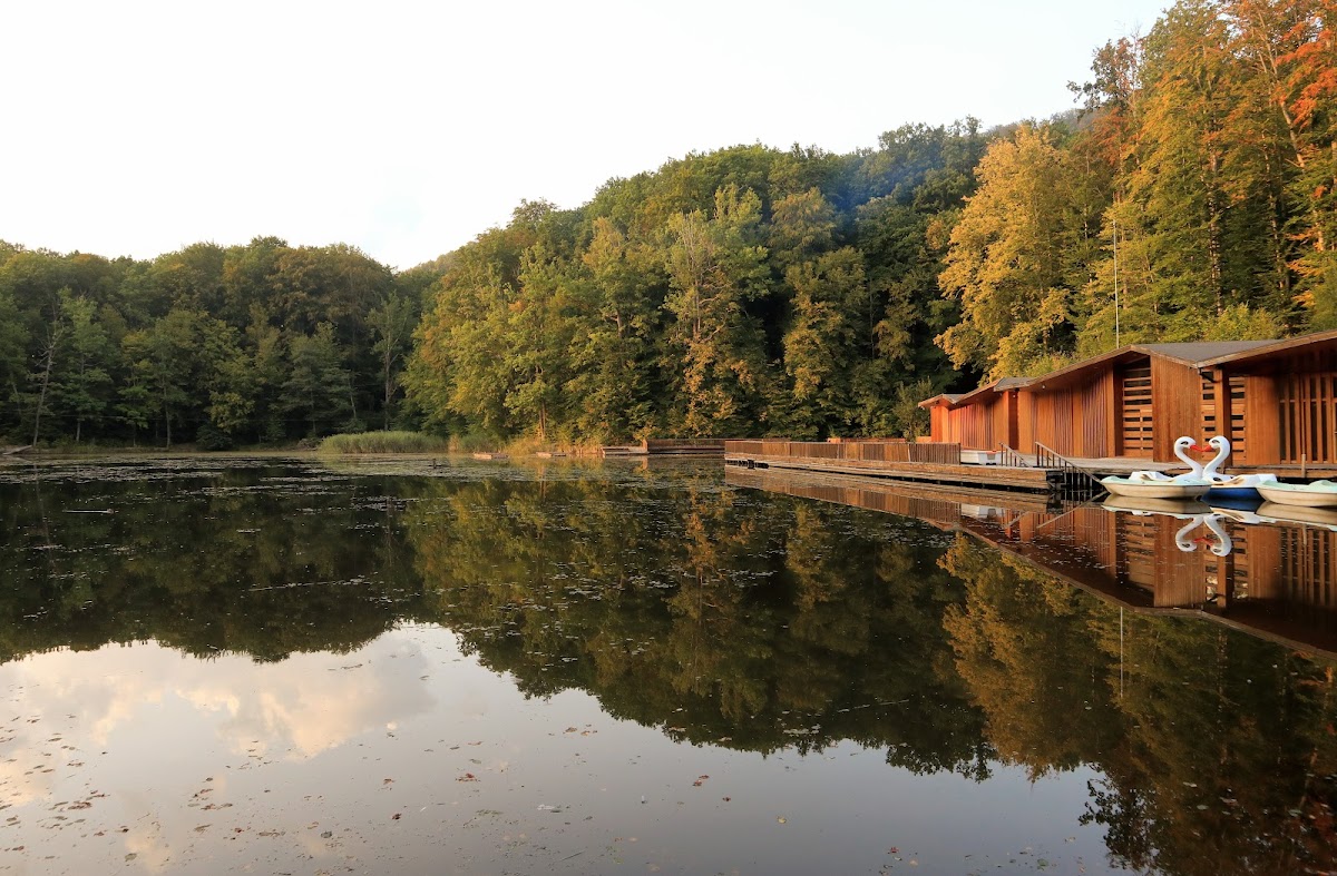 Adrenalin Plus, Lacul Tineretului - foto 2