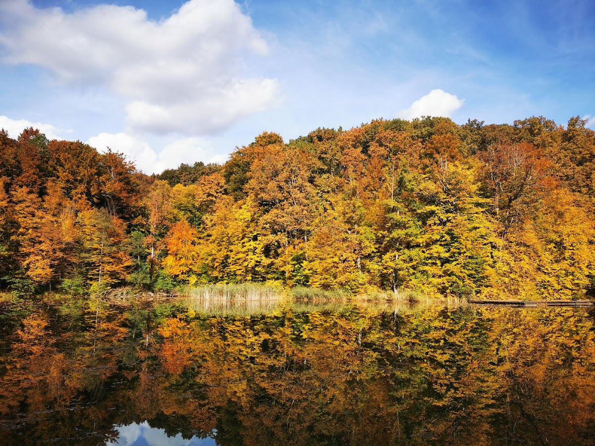 Adrenalin Plus, Lacul Tineretului - foto 3