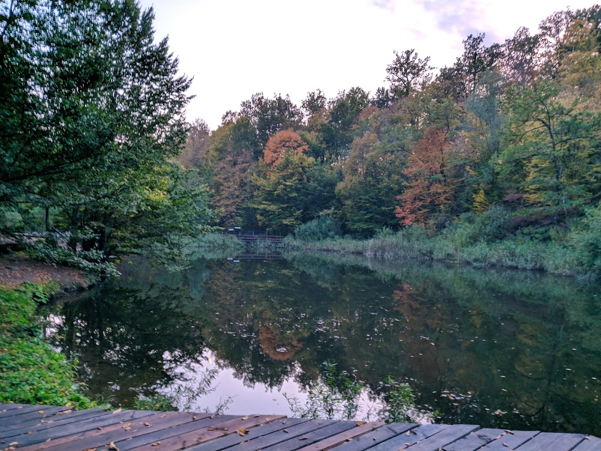 Adrenalin Plus, Lacul Tineretului - foto 4