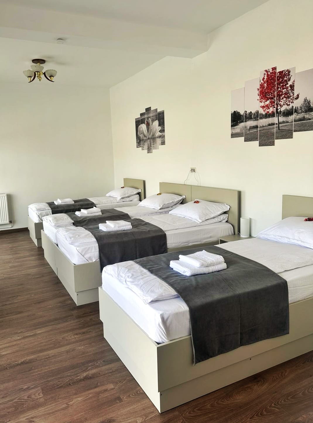 Adriana Touristik Hostel Arad