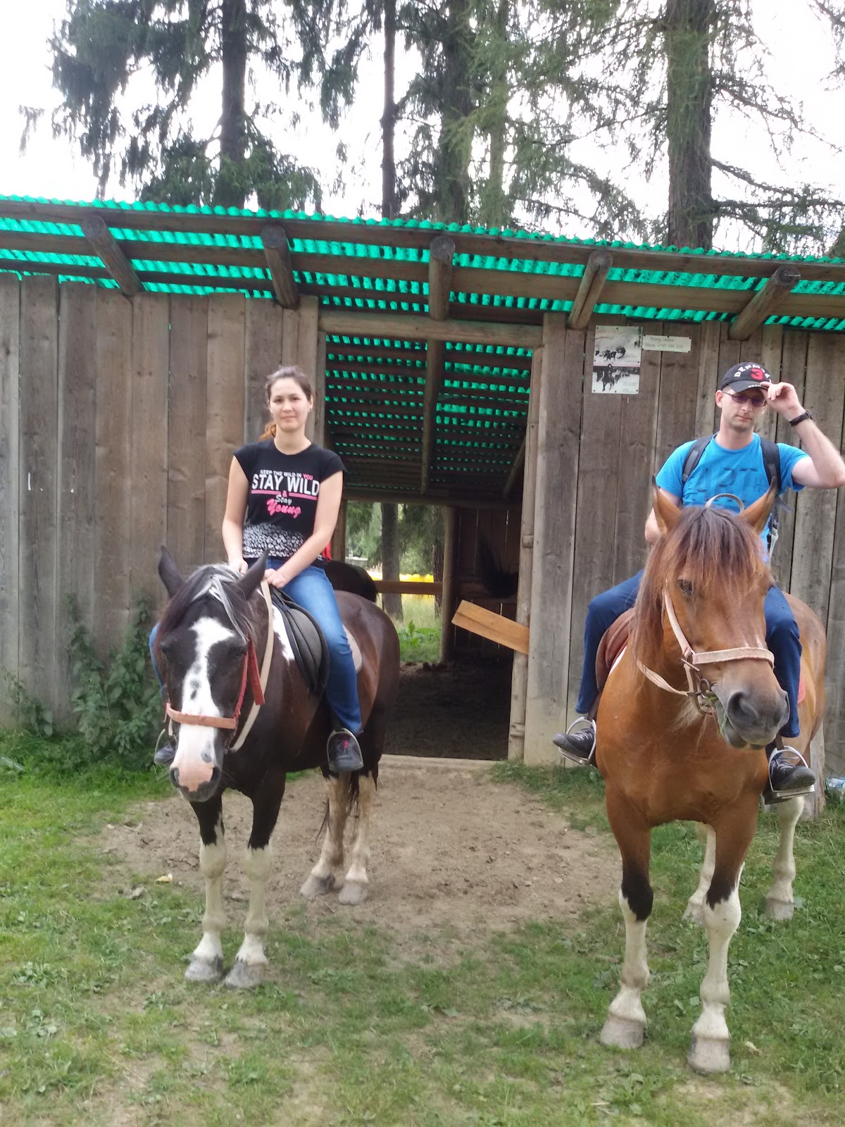 Agrement Vatra Dornei - foto 2