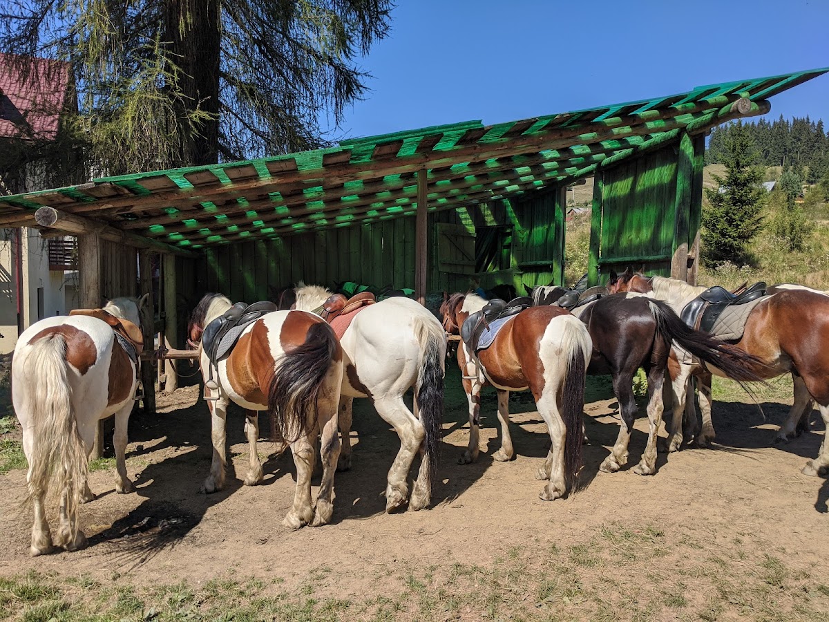 Agrement Vatra Dornei - foto 5