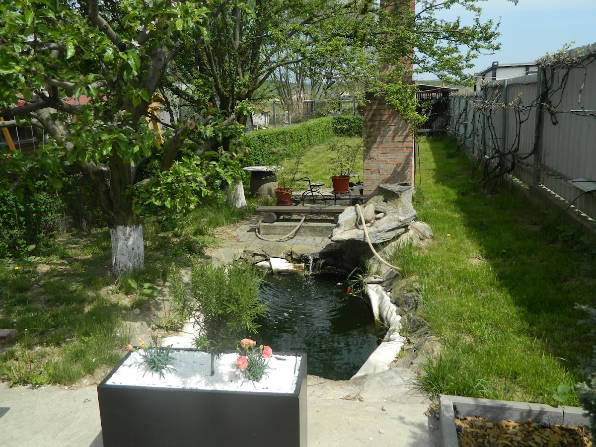 AGROPENSIUNEA MIRANA - foto 5