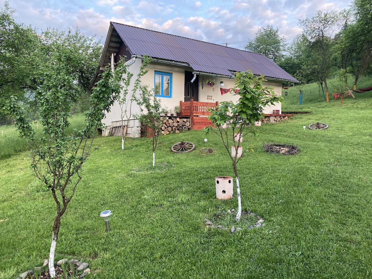 Agroturism Șesuri 151