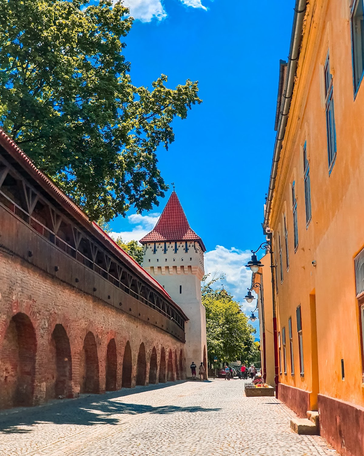 Aleea Celebrităților - foto 4