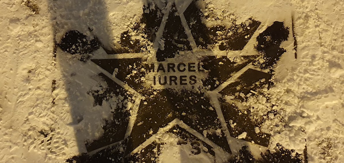 Aleea Celebrităților - foto 5