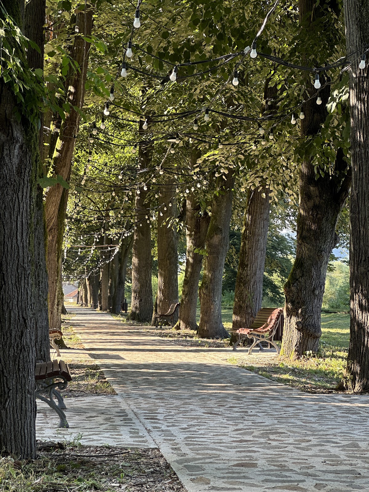 Aleea cu Tei - foto 1