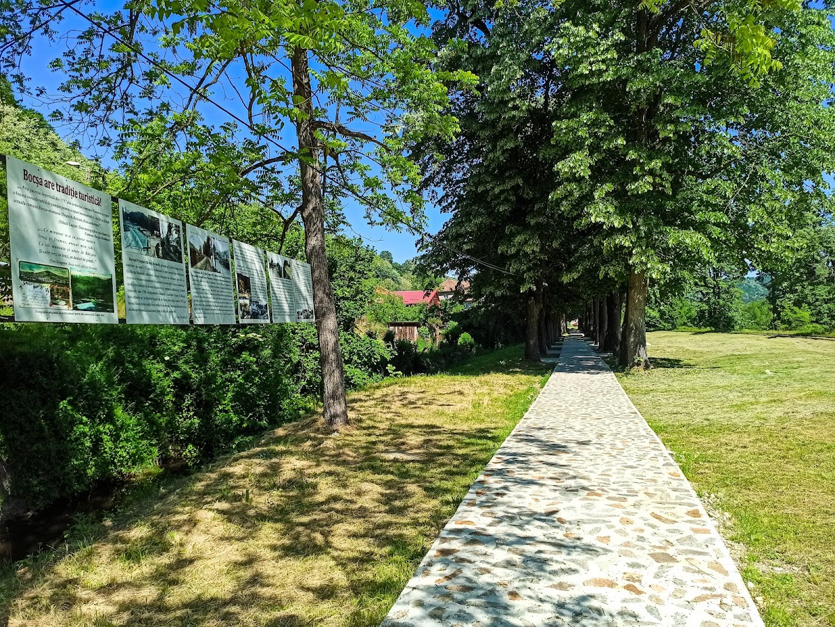 Aleea cu Tei - foto 2