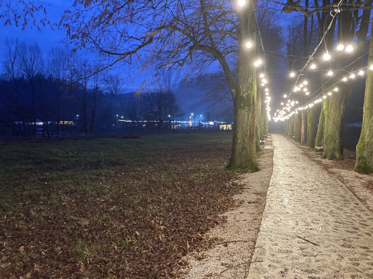 Aleea cu Tei - foto 3