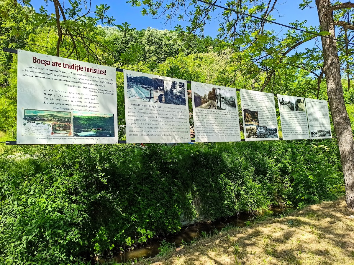 Aleea cu Tei - foto 4