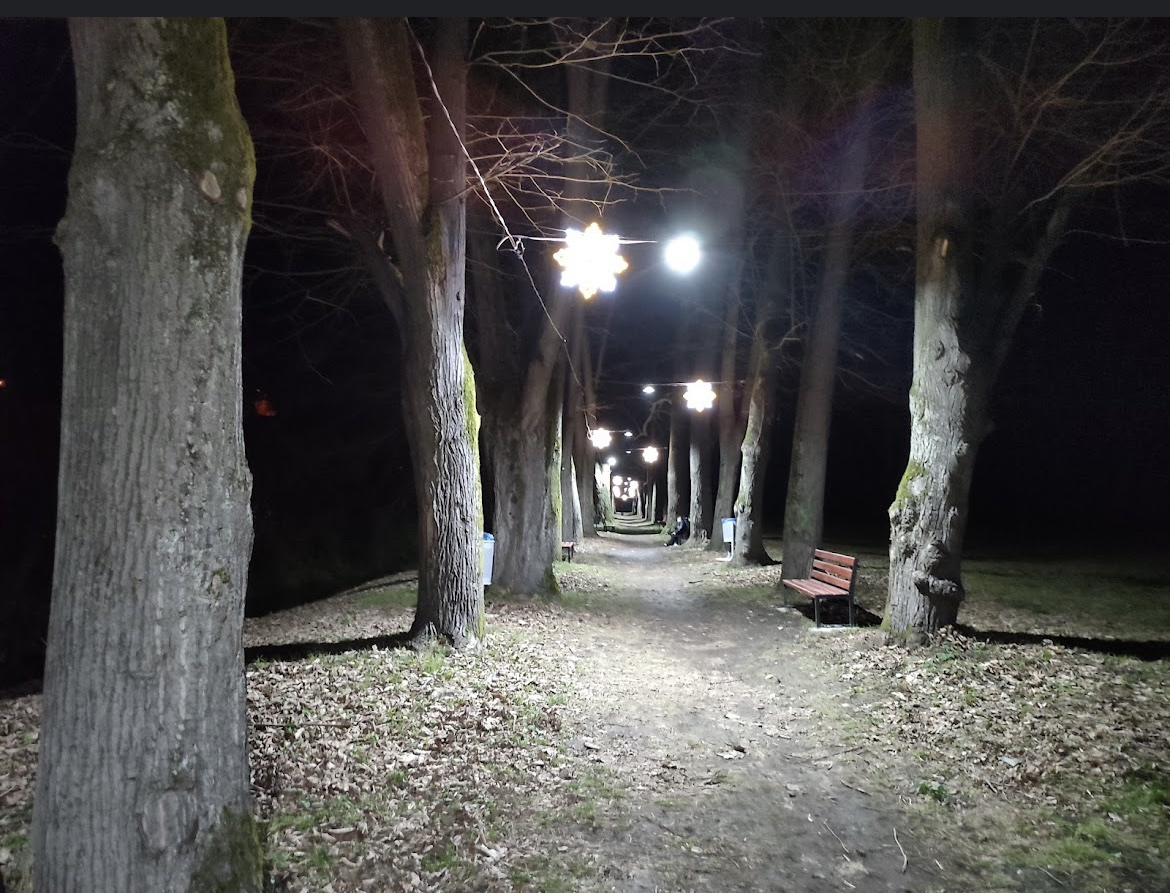 Aleea cu Tei - foto 5