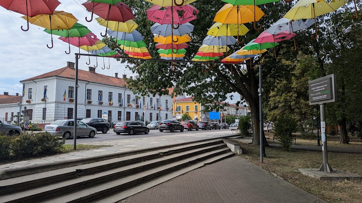 Aleea cu umbreluțe - foto 4