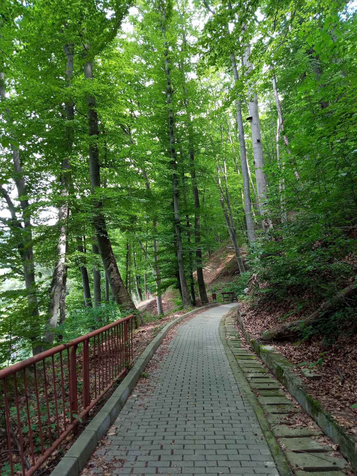 Heilungsweg - foto 4