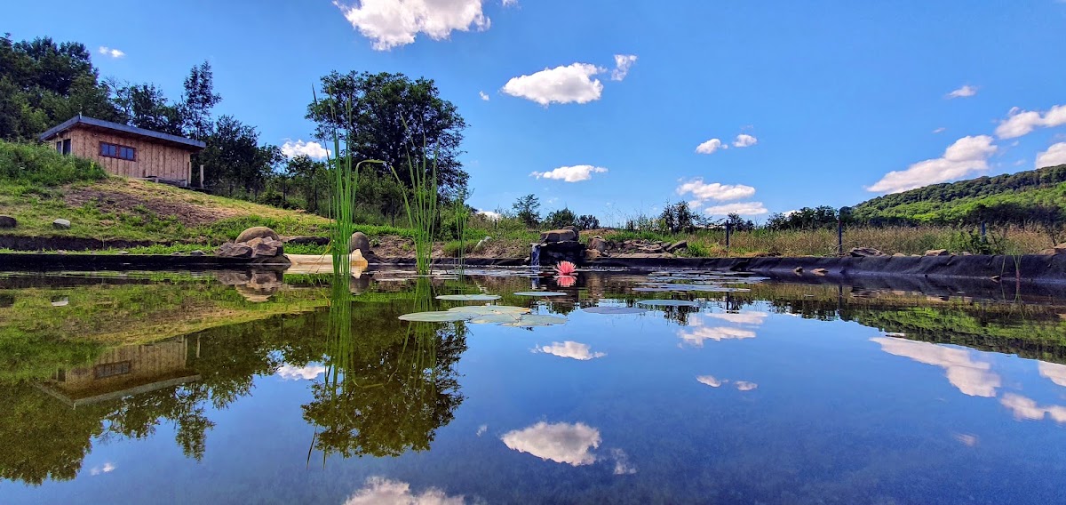 Alma-Via Guesthouse - foto 4