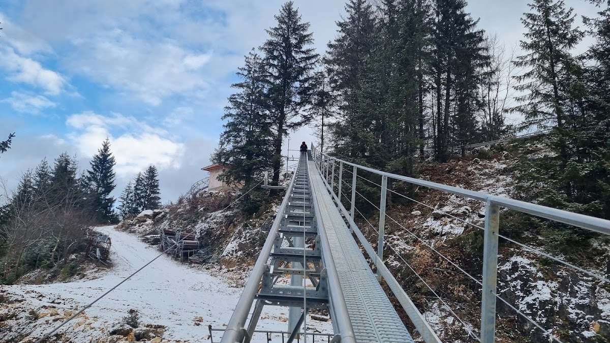 Alpin Coaster - foto 5