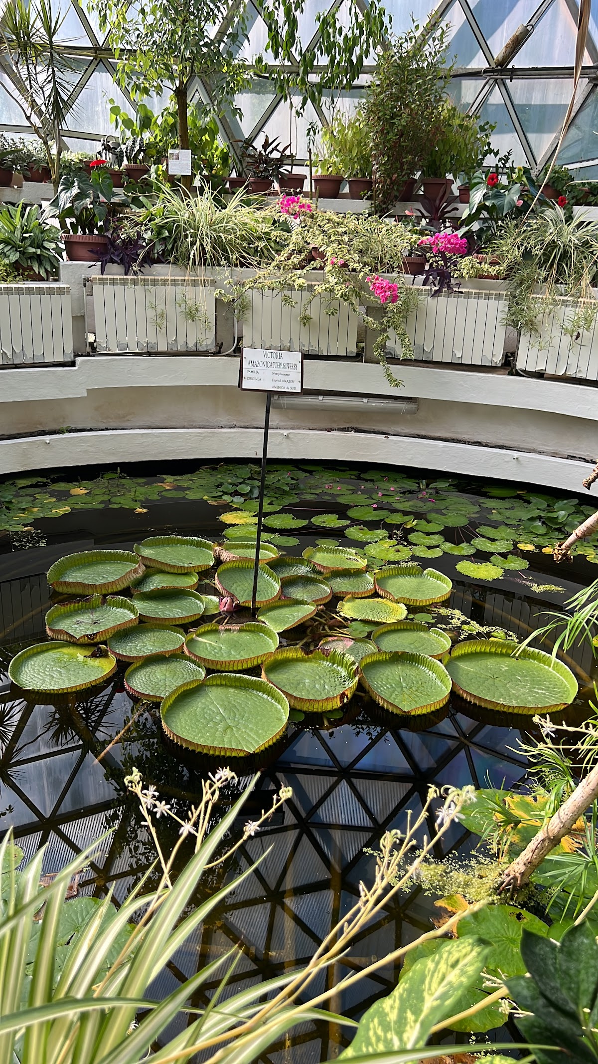 Ansamblul castelului Wesselényi din Jibou - foto 3