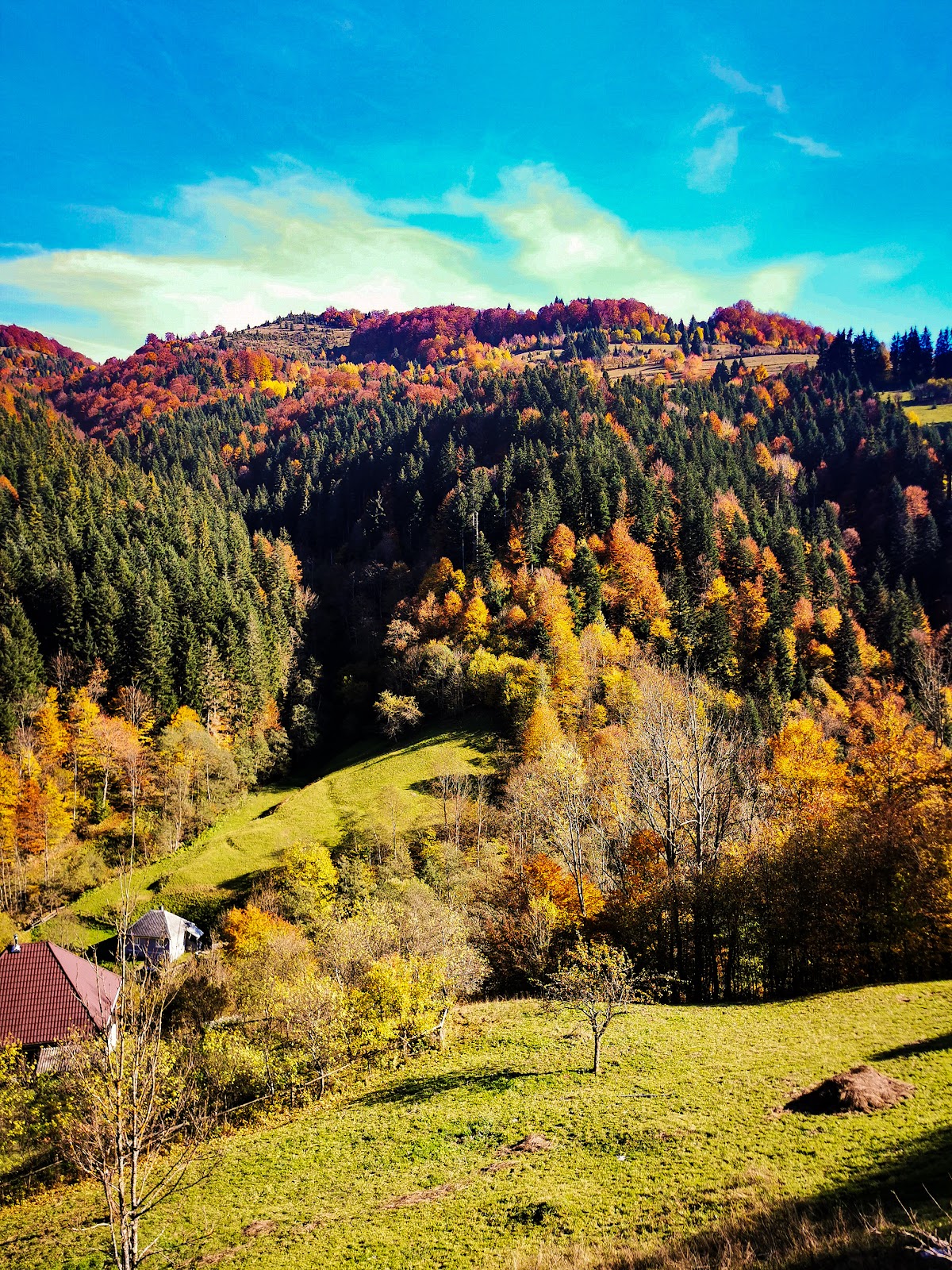 Apuseni Glamping Retreat - foto 4