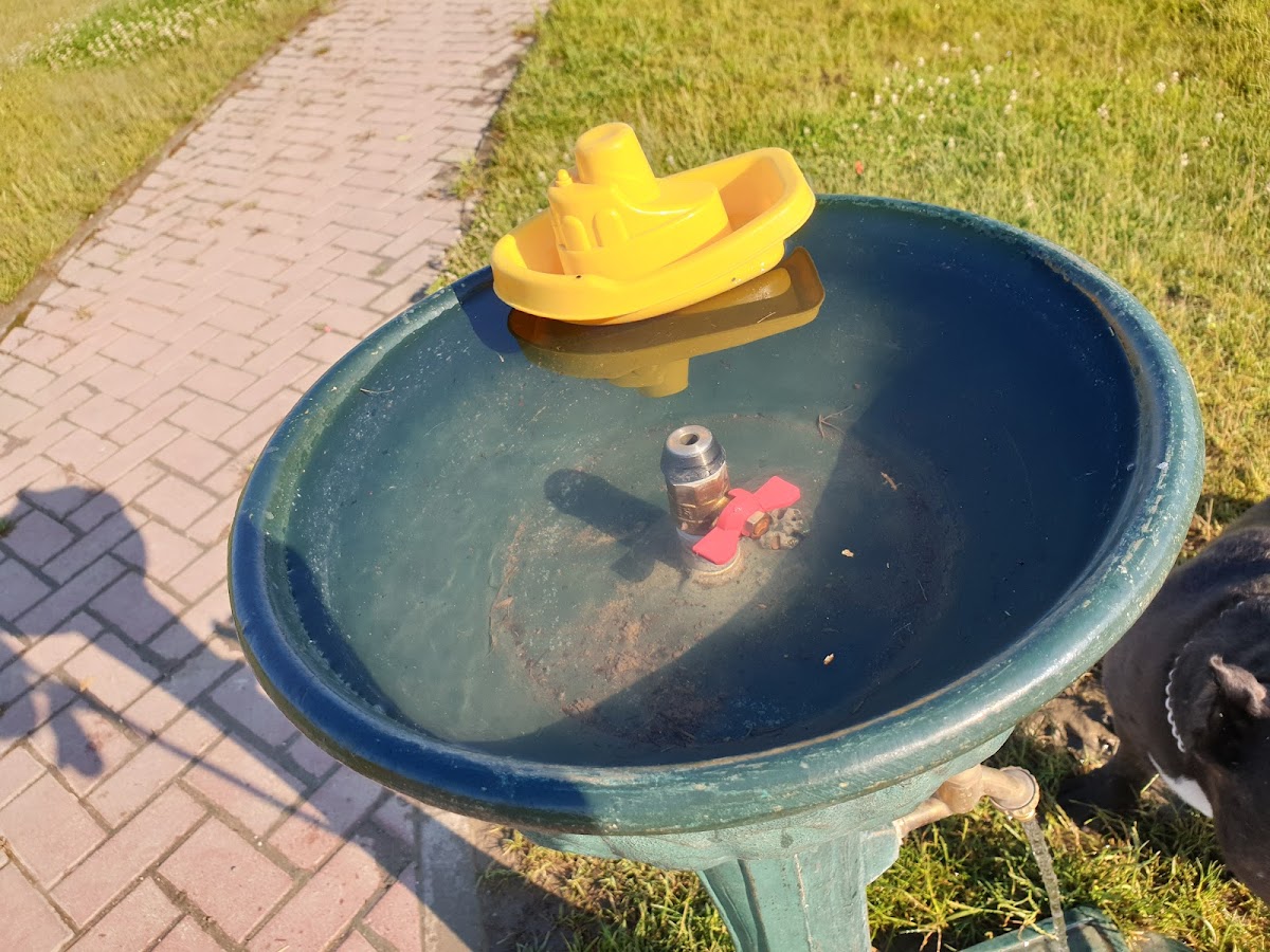 Aqua Dumbravita - foto 2
