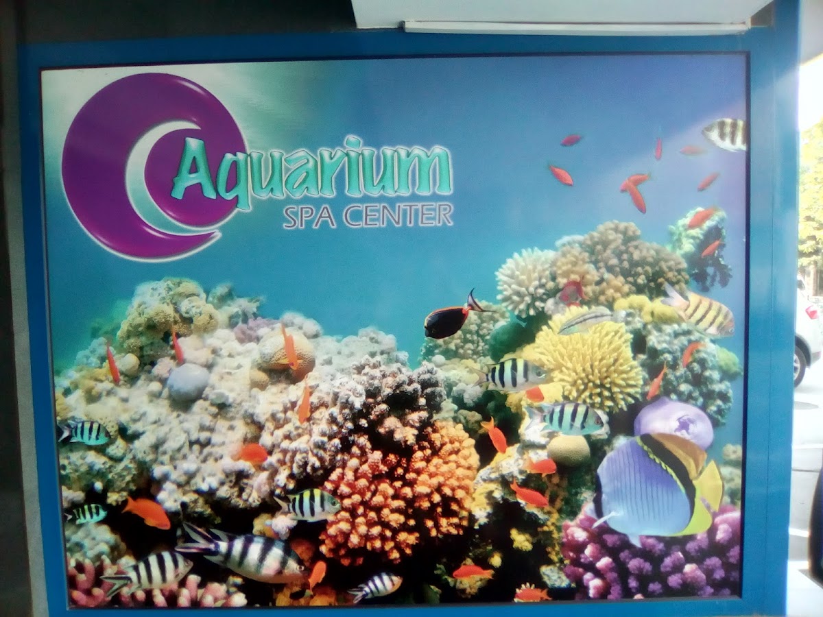 Aquarium Spa - foto 5
