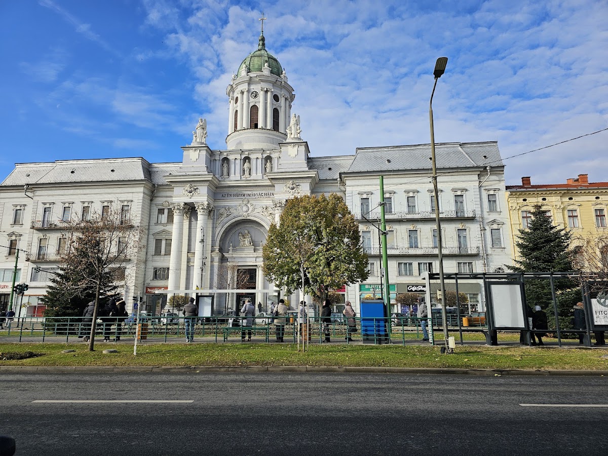 Arad, Arad