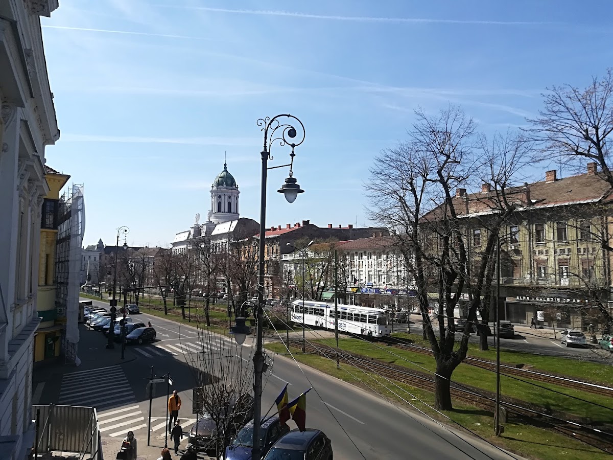 Arad.zone - foto 5