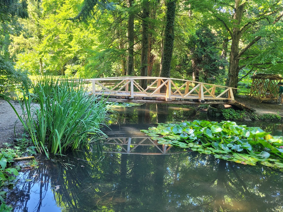 Arboretum Simeria - foto 1