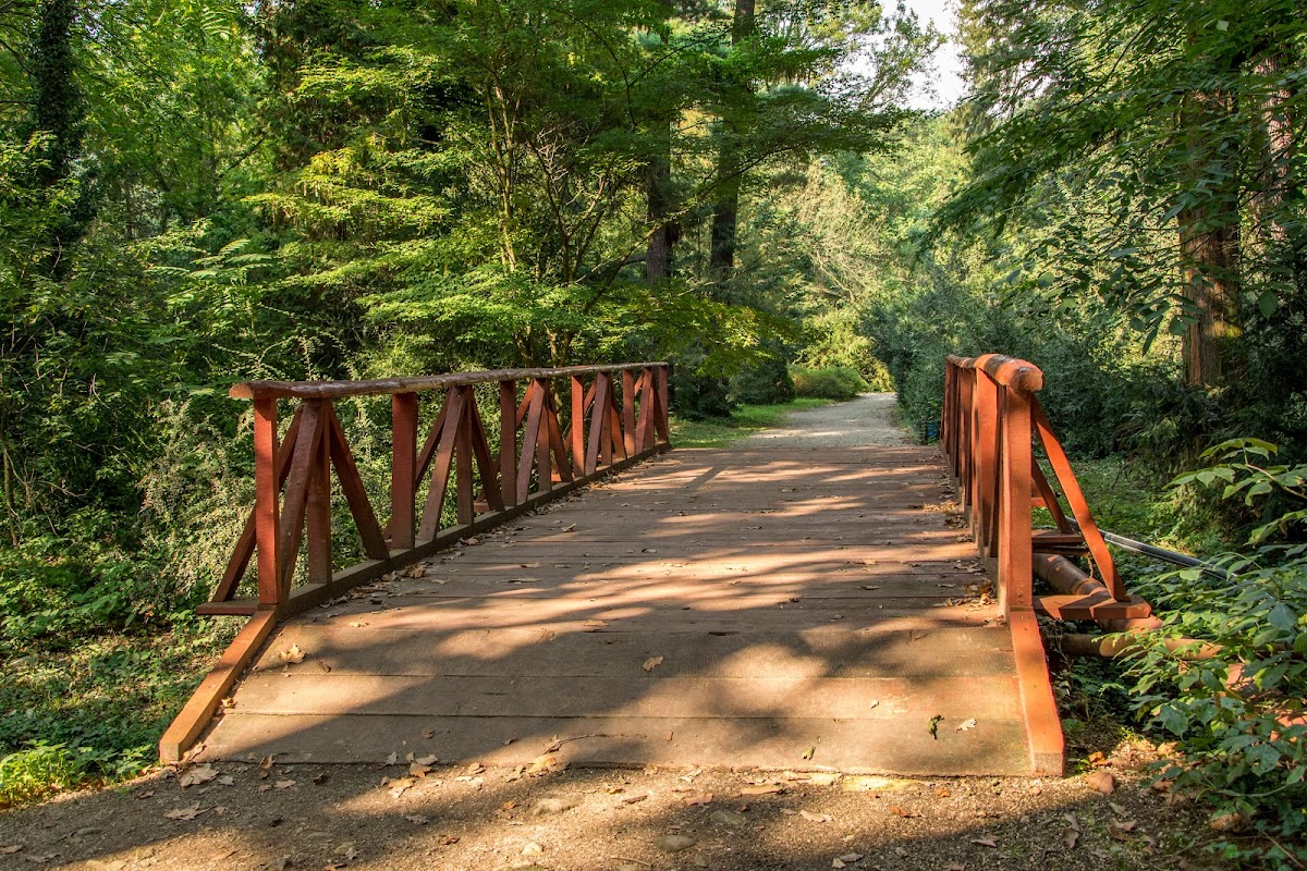 Arboretum Simeria - foto 2