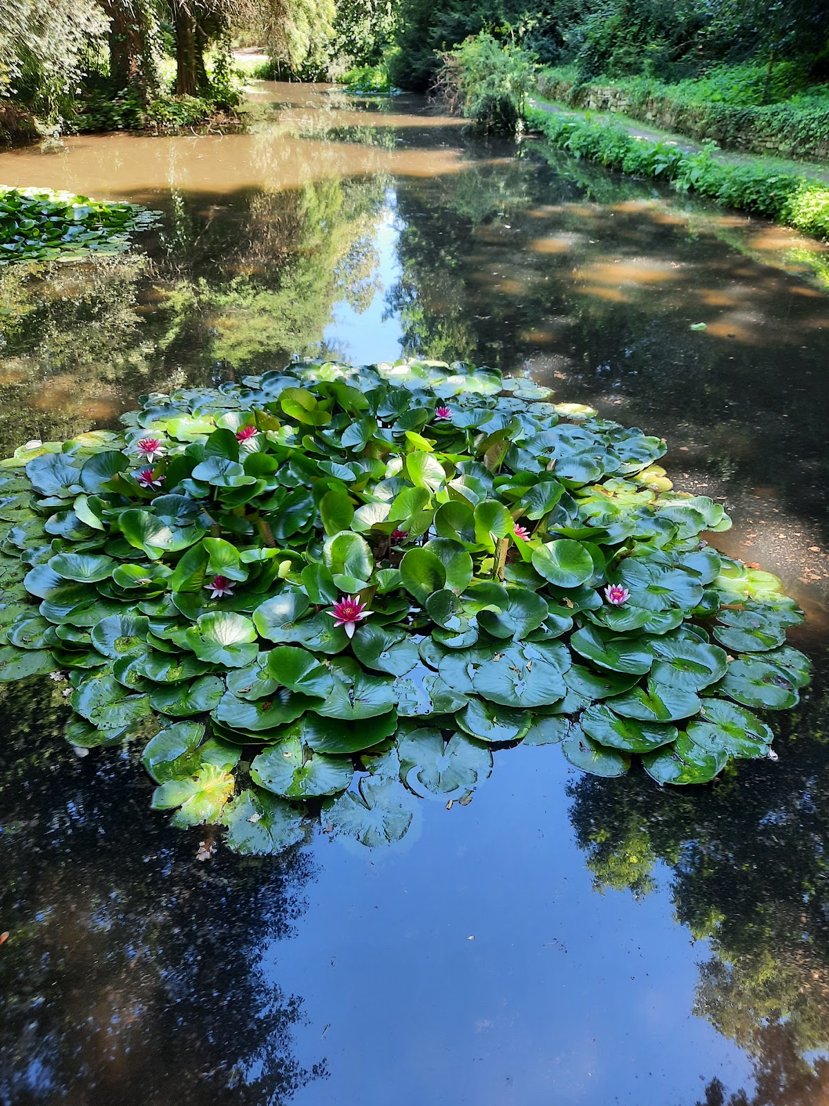 Arboretum Simeria - foto 5