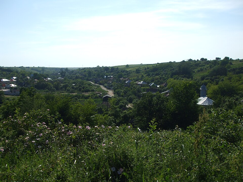 Rural architecture of Buzduc
