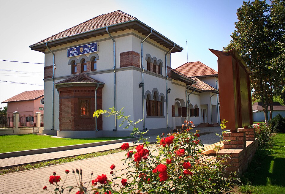 Arhitectura rurala Manasia, Manasia