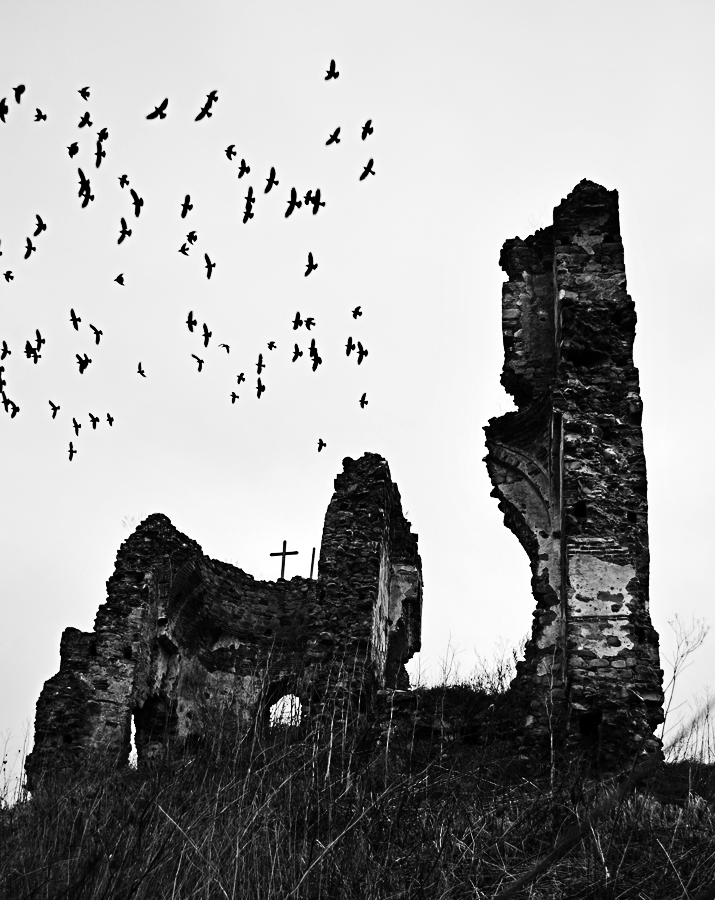 Arhitectura rurala Podoleni