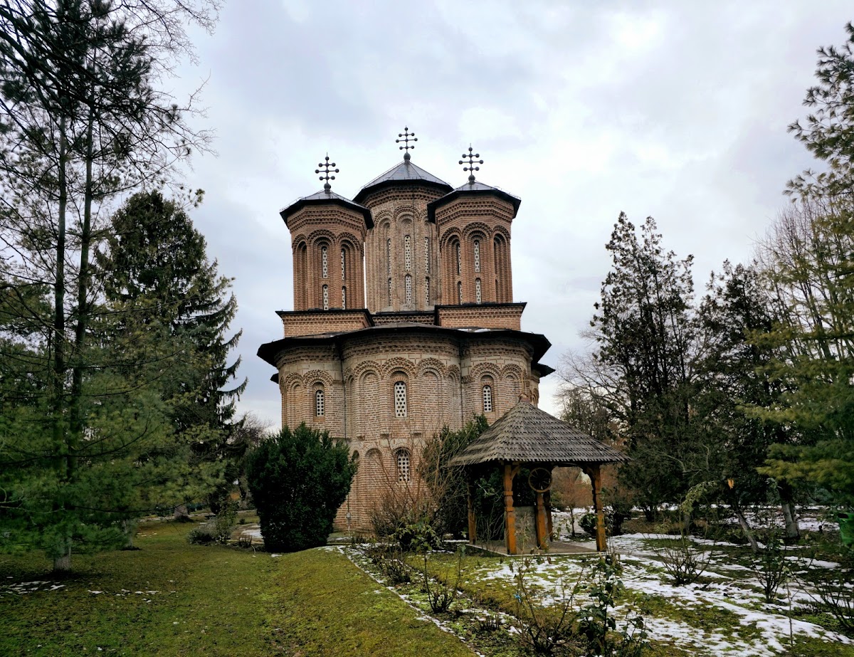 Aria Naturală Protejată Pădurea Snagov - foto 3