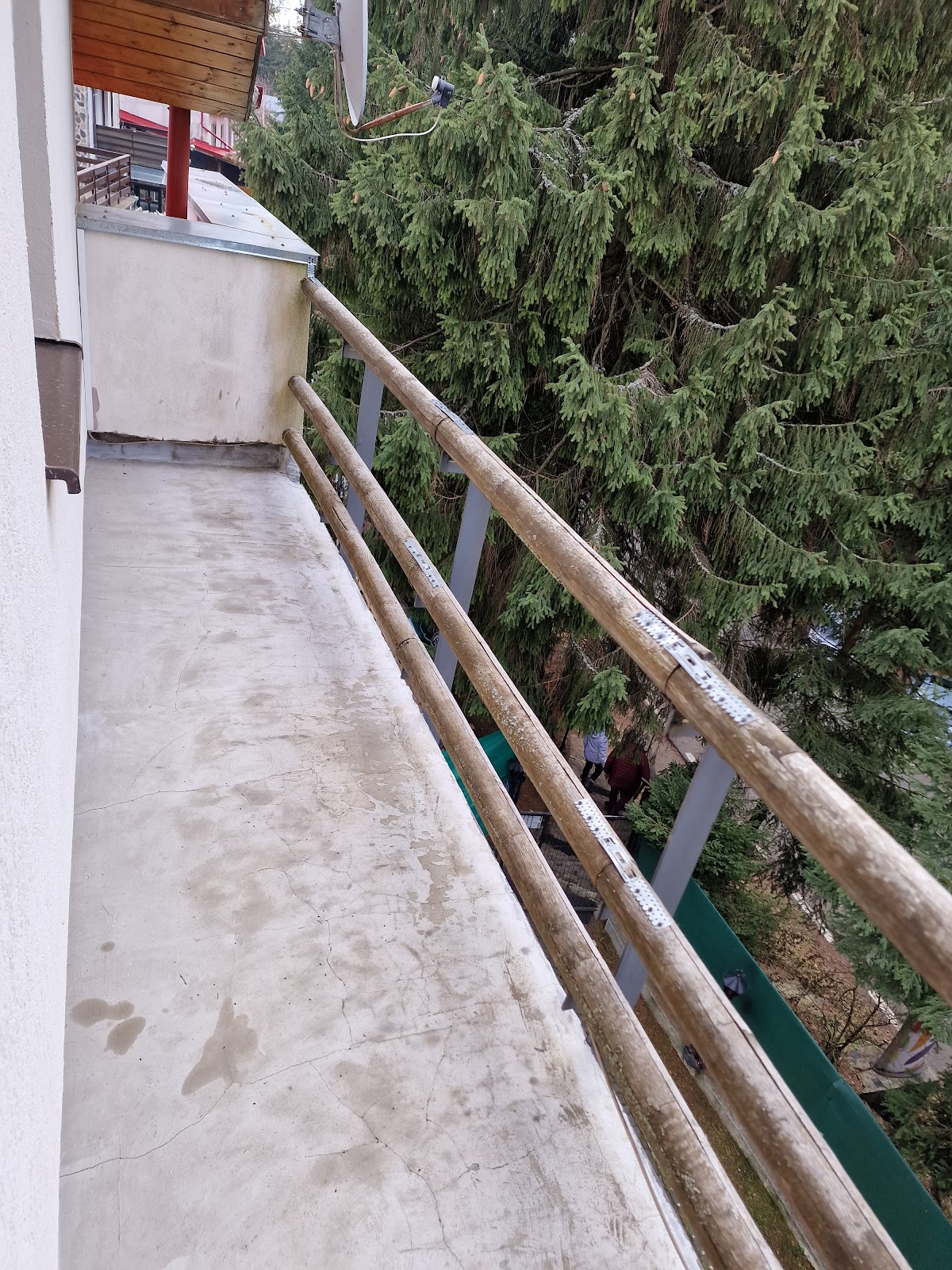 Aria Paltinis - foto 1