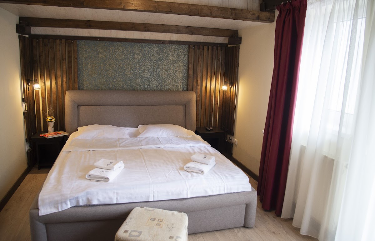 Aria Paltinis - foto 2