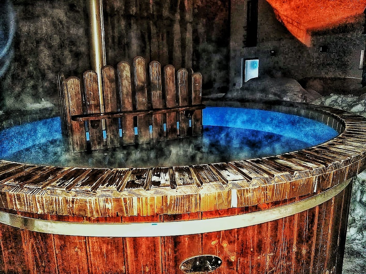 Aria Paltinis - foto 4