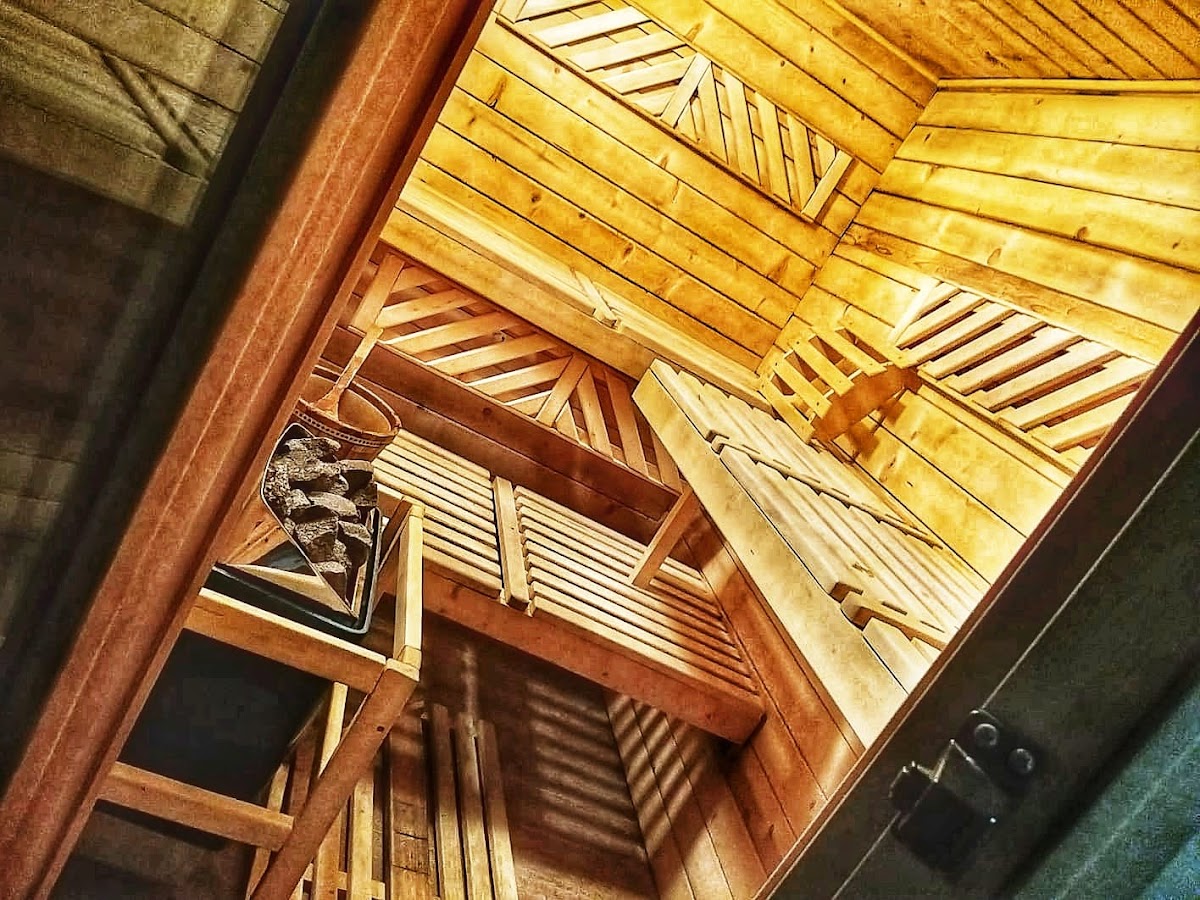 Aria Paltinis - foto 5