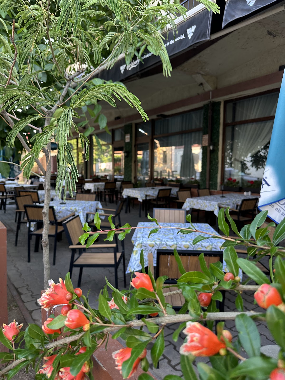 Aroma By Coliseum - foto 5