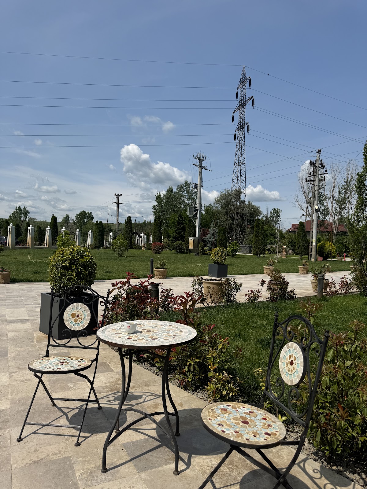 Arrogance ballroom - foto 5