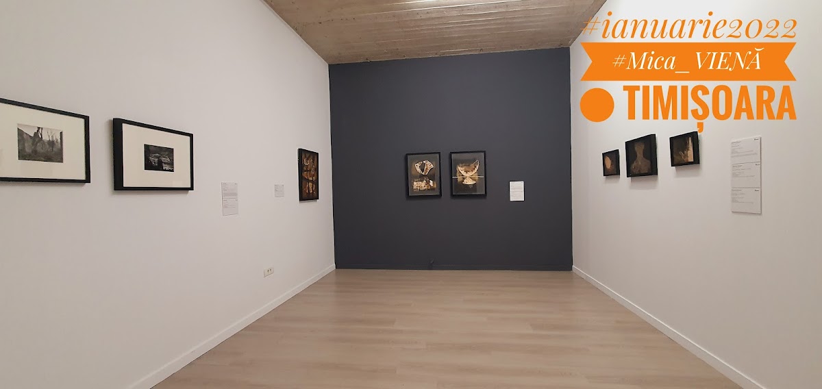Fondation Art Encounters - foto 2