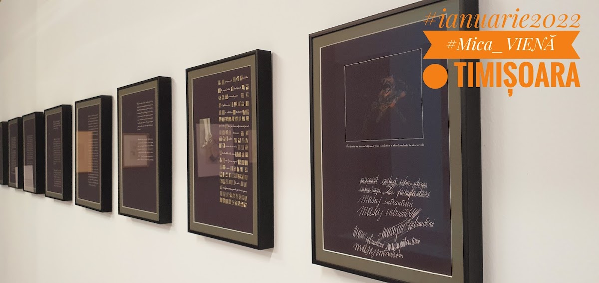 Fondation Art Encounters - foto 3