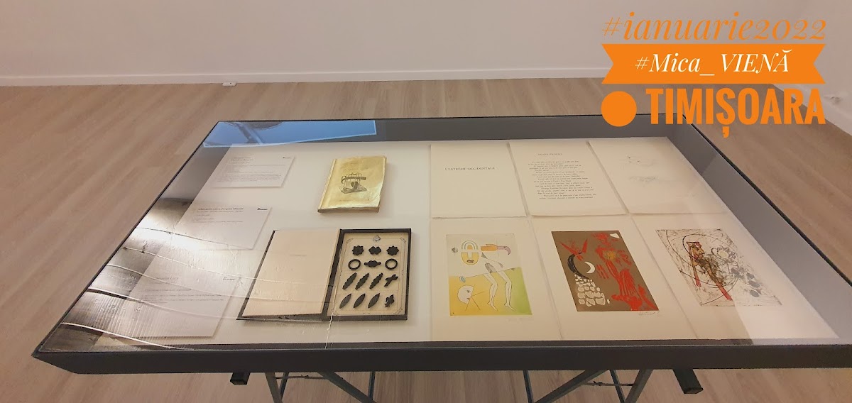 Fondation Art Encounters - foto 4