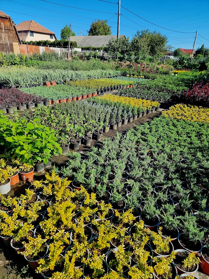 AUTÉNTICO Jardines&Paisajes - foto 2