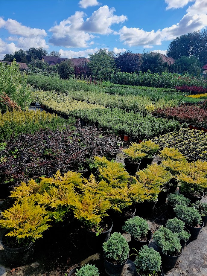 AUTÉNTICO Jardines&Paisajes - foto 4